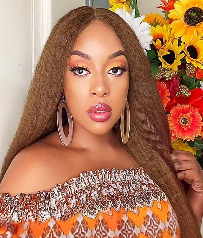 Soft Natural Brown Blonde Lace Wig – Non-Toxic, High-Temperature Fiber, 13x2.5 Glueless Lace, Versatile Style